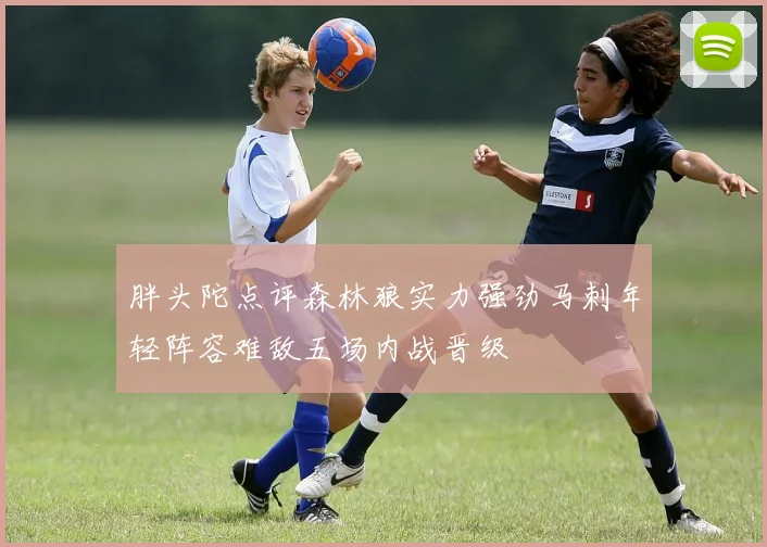 胖头陀点评森林狼实力强劲马刺年轻阵容难敌五场内战晋级