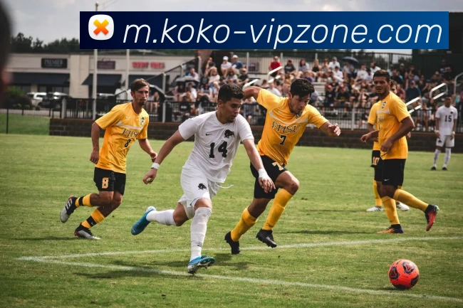 KOKOAPP 封面图